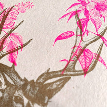 Lade das Bild in den Galerie-Viewer, Postkarte / Hirschgeweih / Pflanzenfarbe / Ökopapier