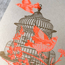 Lade das Bild in den Galerie-Viewer, Postkarte / Vogelkäfig / Pflanzenfarbe / Ökopapier