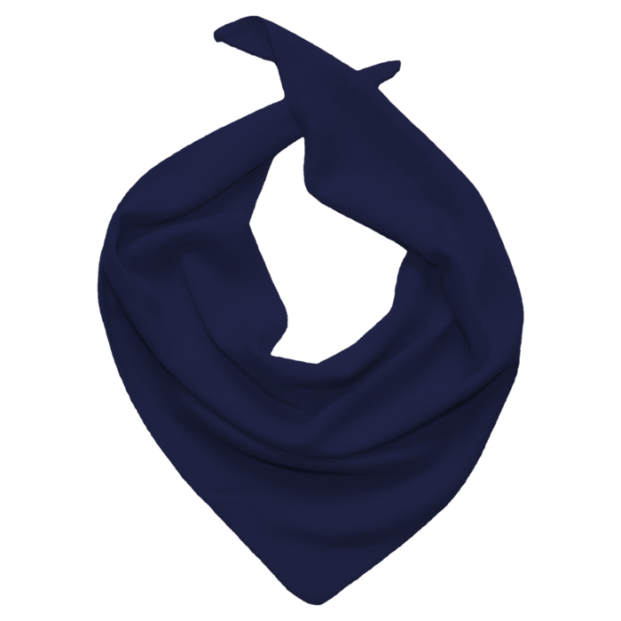 Mini Triangle Navy