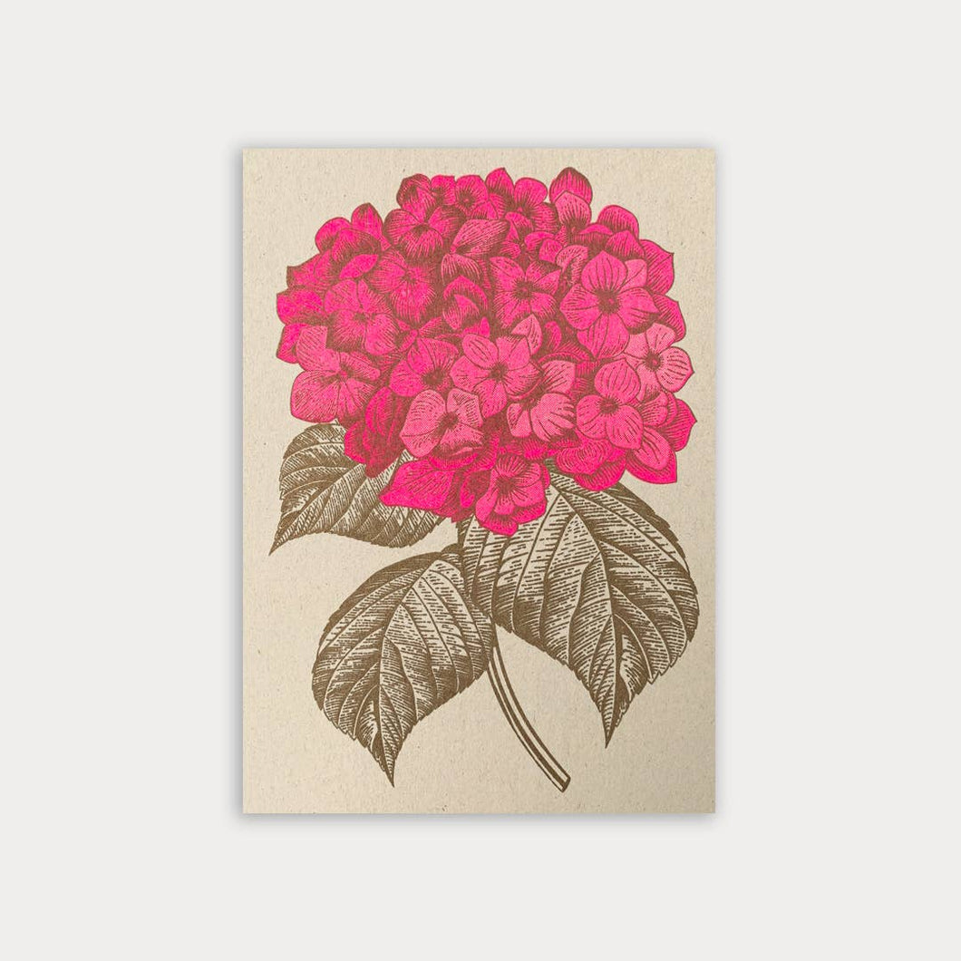 Postkarte / Hortensie / Ökopapier